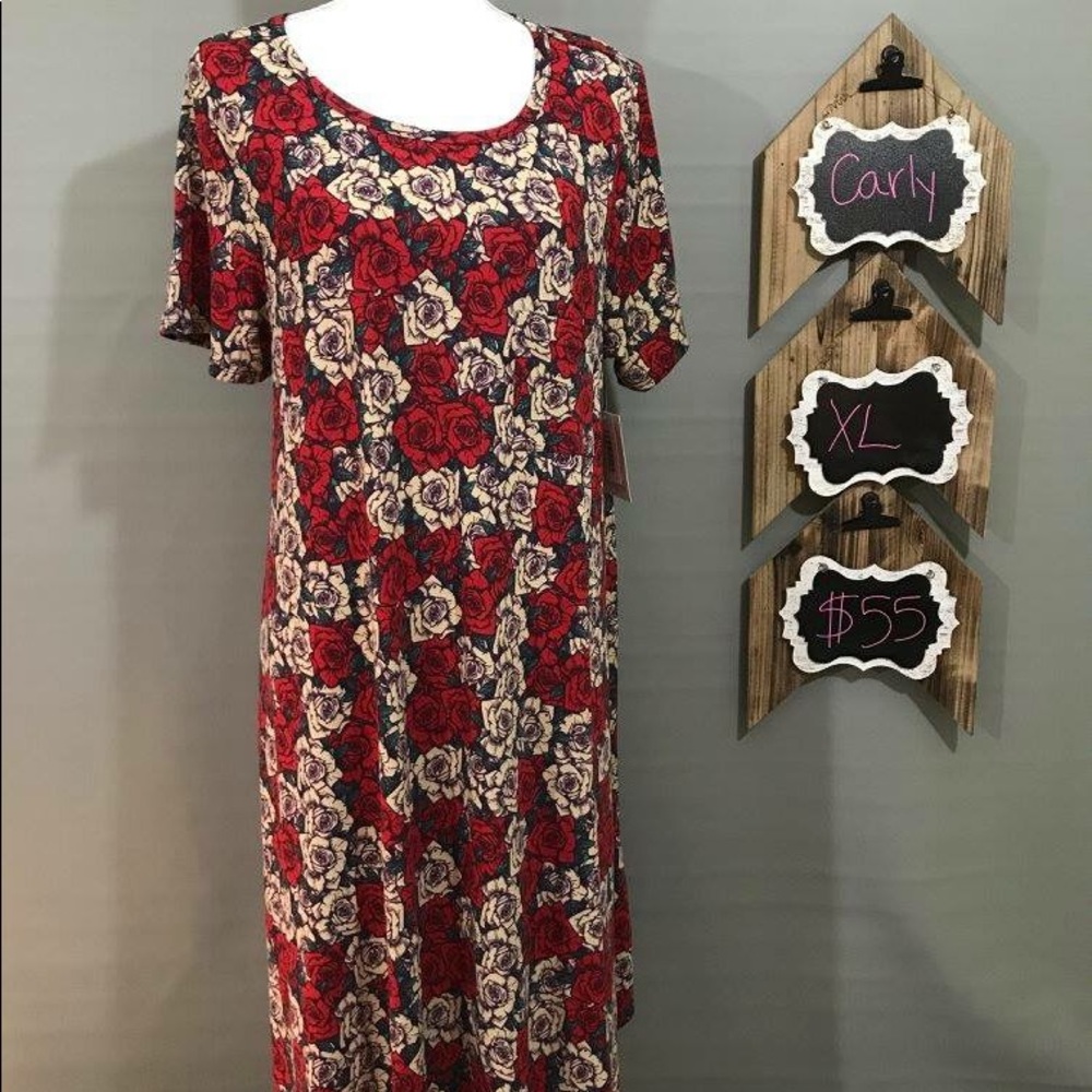Carly XL long dress very soft NWT